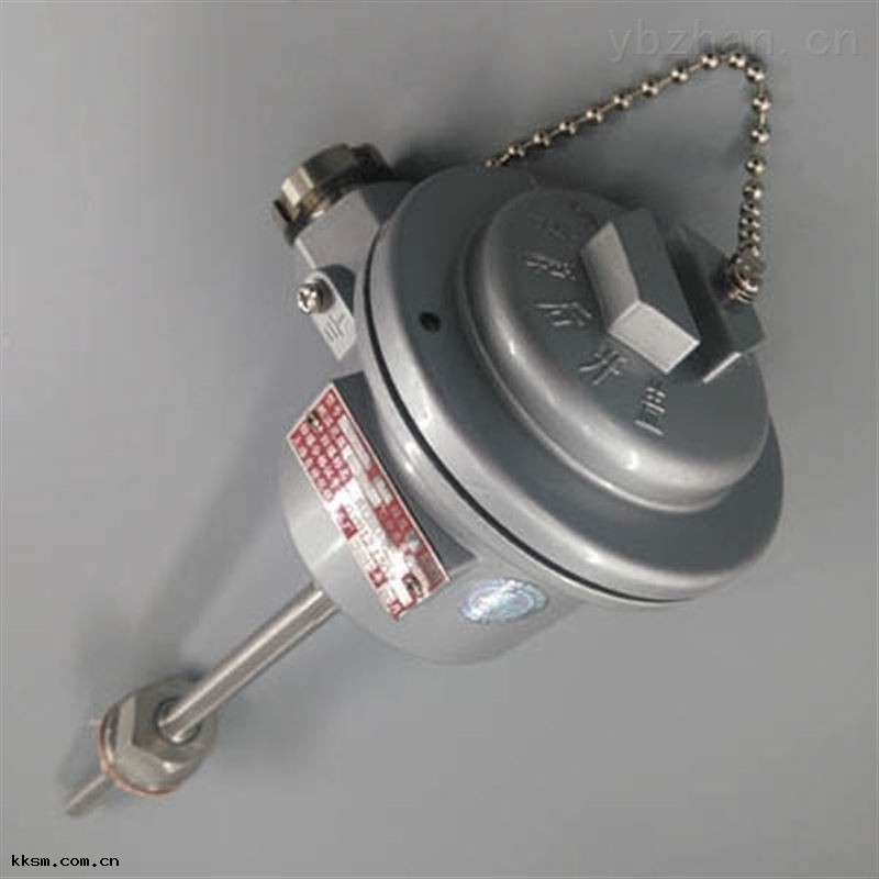 鎧裝(zhuāng)防爆熱電(diàn)偶