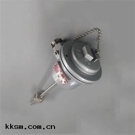 WREK2-440隔爆型熱電(diàn)阻