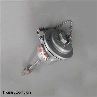 WREK2-440隔爆(bào)型熱電阻