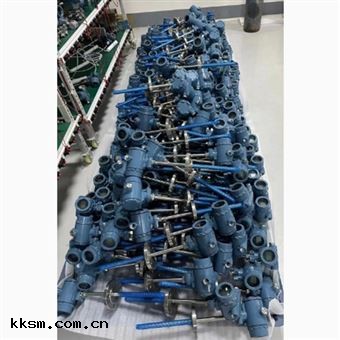 一體化雙支(zhī)溫度變送器