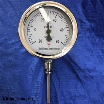WSS-511直型304雙金屬(shǔ)溫度表