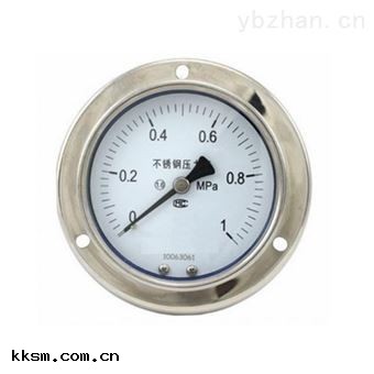 不(bù)鏽鋼隔膜壓力表