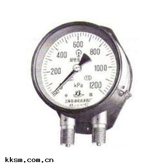 全(chéng)不鏽(xiù)鋼雙支雙管壓力(lì)表