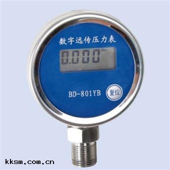 數字(zì)遠傳壓(yā)力表BD-801YB